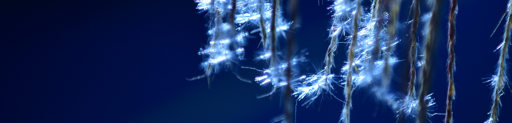 Perpetual Investment Funds