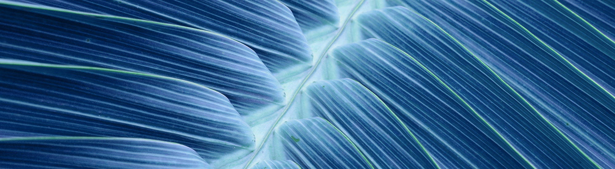 Perpetual Active Fixed Interest Fund - Class A