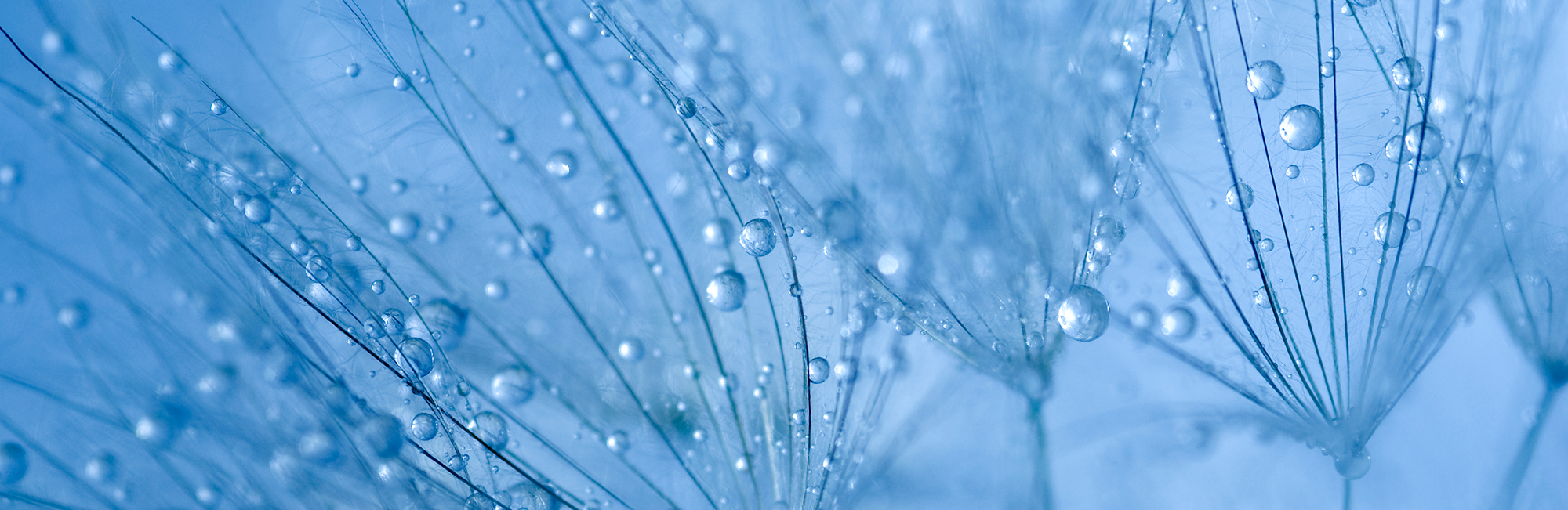 Perpetual Smaller Companies