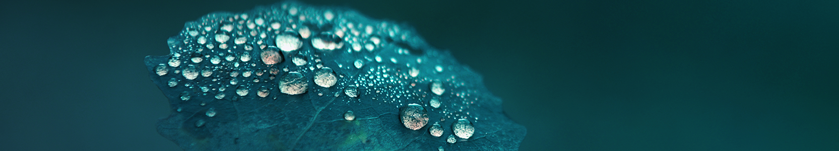 Barrow Hanley Global Share Active ETF (ASX:GLOB)