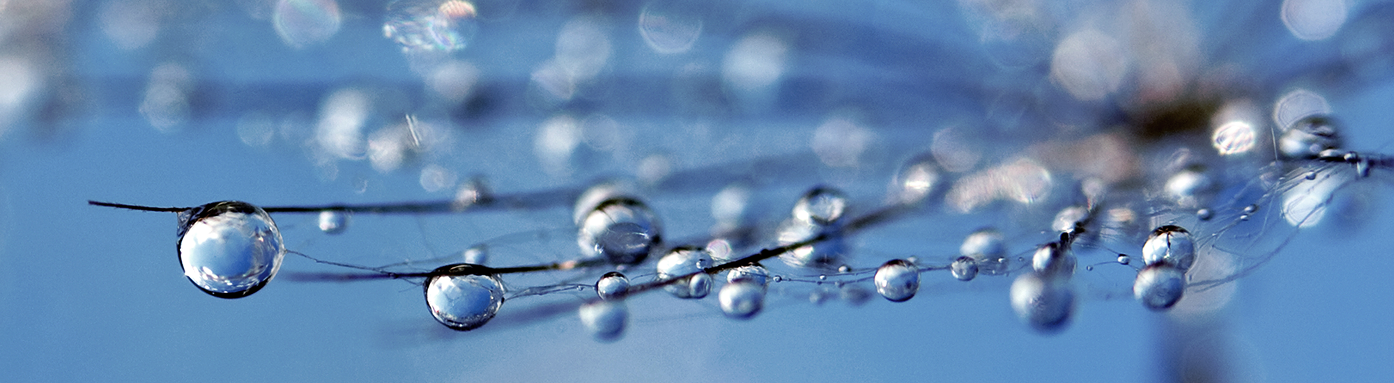 Perpetual SHARE-PLUS Long-Short