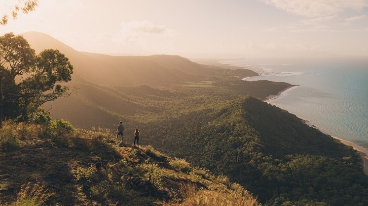 NFP article_746x419.jpg