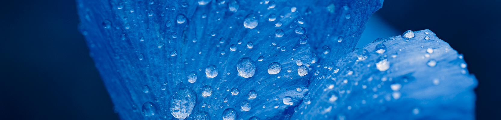 Institutional fund management