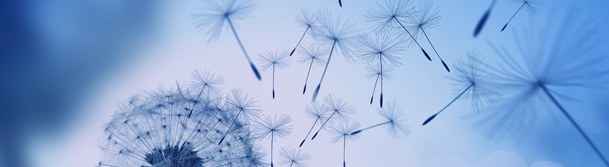 Perpetual Australian Share