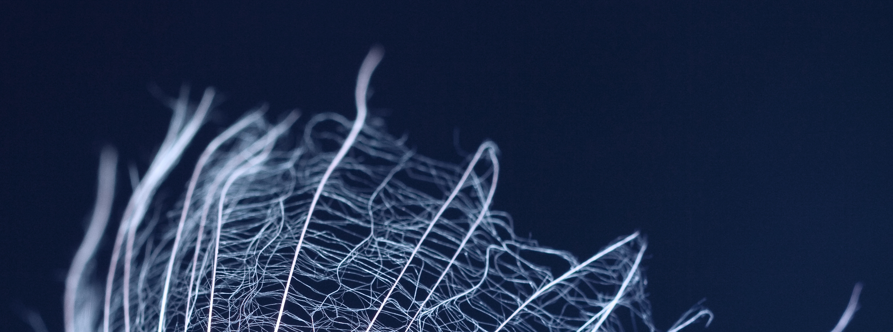 Careers at Perpetual