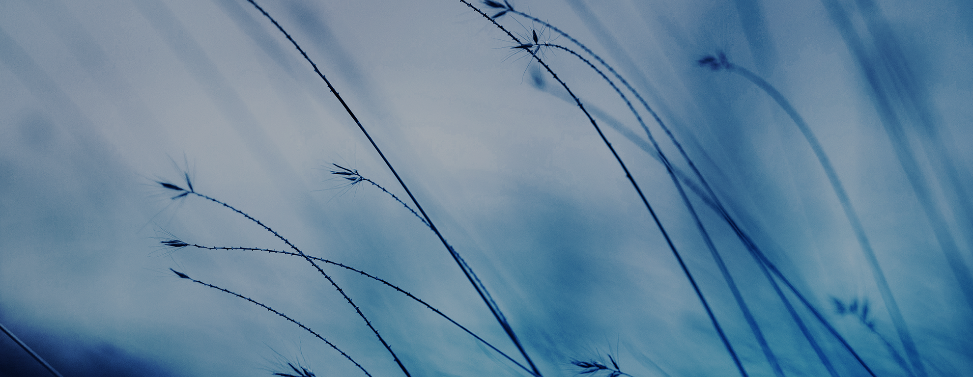 Responsible investing