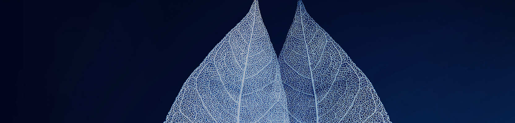 Investing for individuals