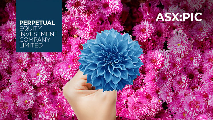 Perpetual-PIC_flower-746x419.jpg